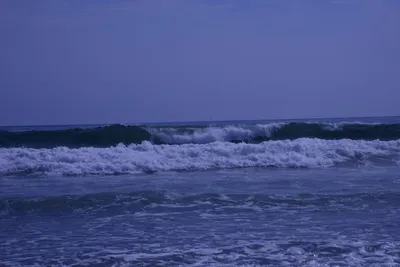 DSC_2223 (Large).JPG